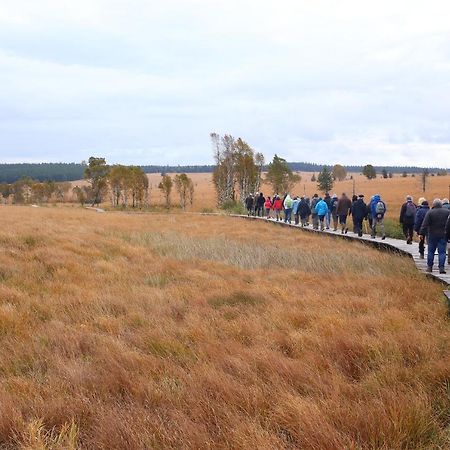 Le Brocard Des Fagnes - 16 Pers Malmedy Villa Exteriör bild