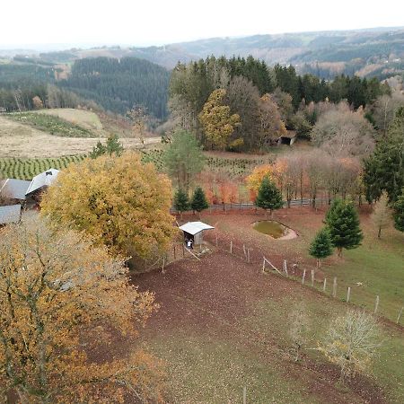 Le Brocard Des Fagnes - 16 Pers Malmedy Villa Exteriör bild