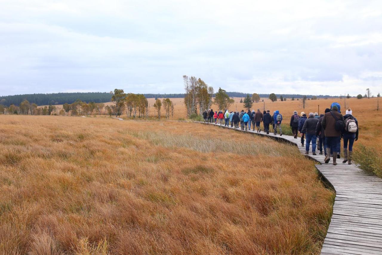 Le Brocard Des Fagnes - 16 Pers Malmedy Villa Exteriör bild